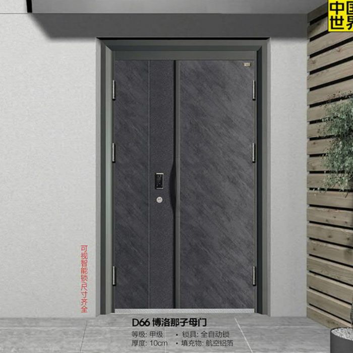 时尚青春智能门