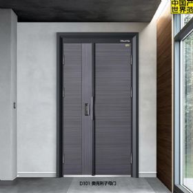 T型冰箱工艺智能门D101奥克利子母门