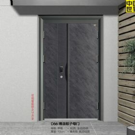 时尚青春智能门D66博洛那子母门